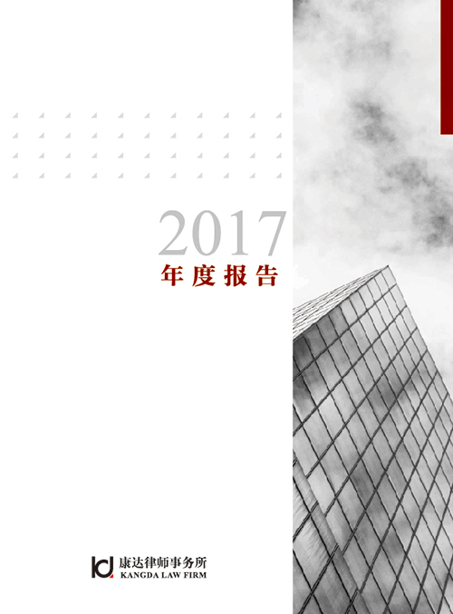 2017年度报告