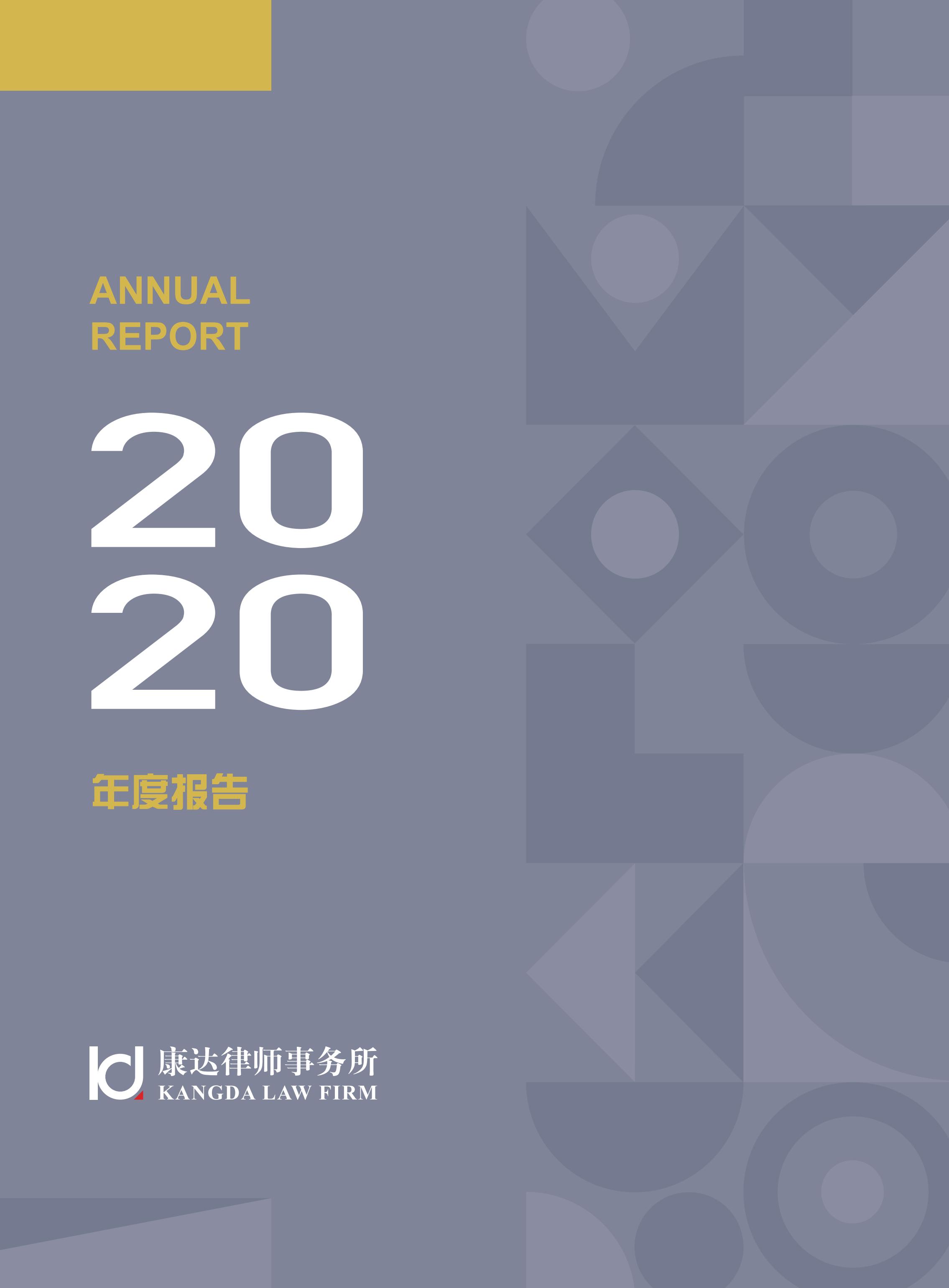 2020年度报告