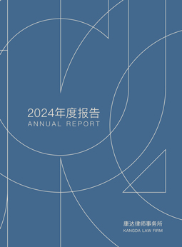 2024年度报告