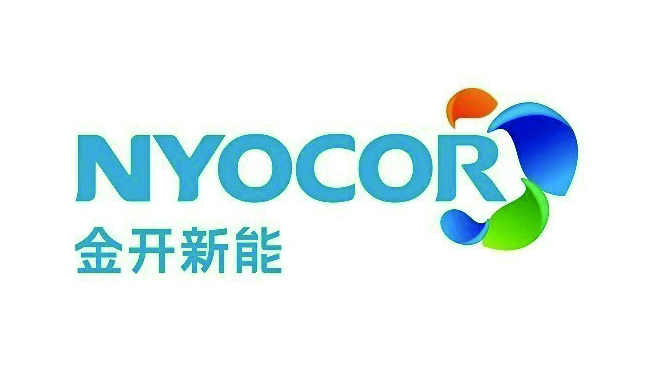 金开新能(600821)