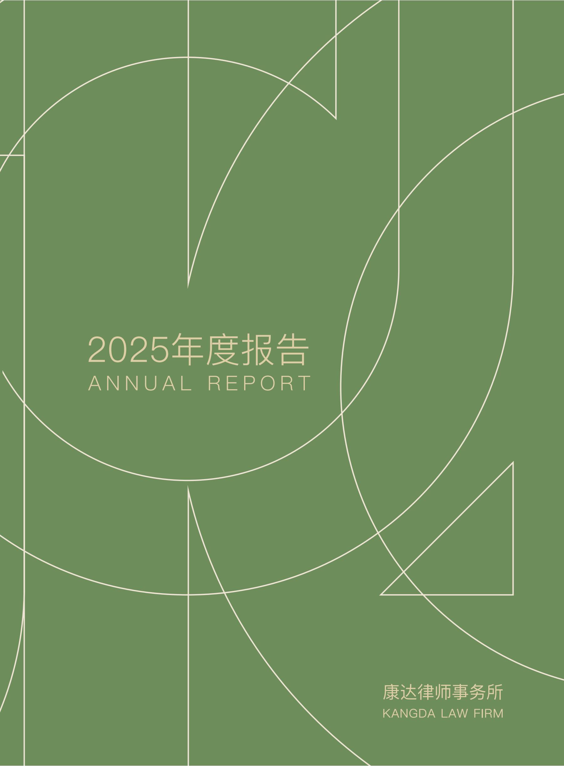 2025年度报告